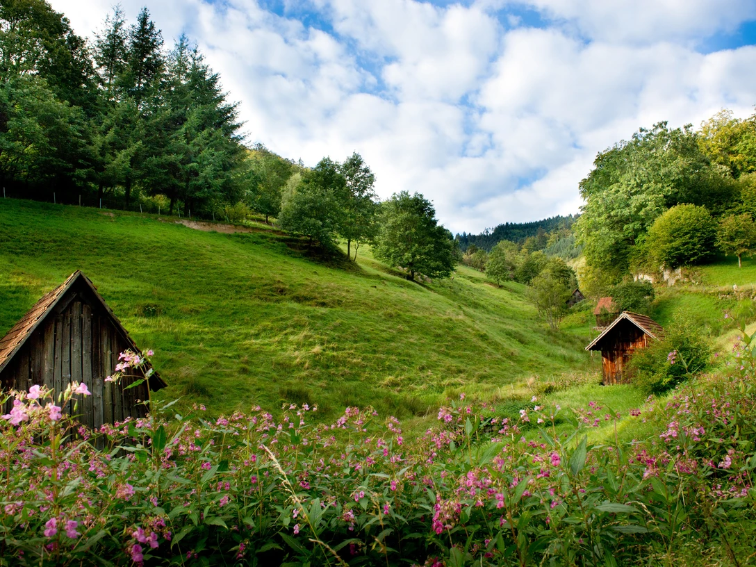 Heuhüttental bei Weisenbach
