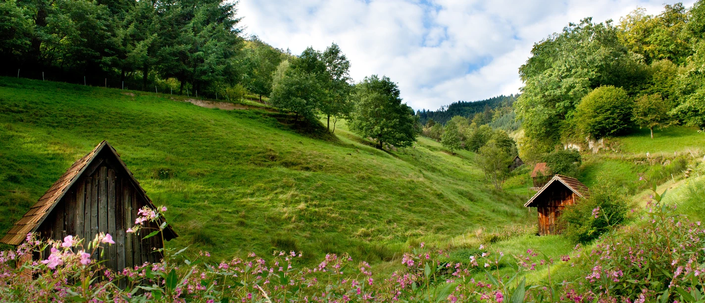 Heuhüttental bei Weisenbach