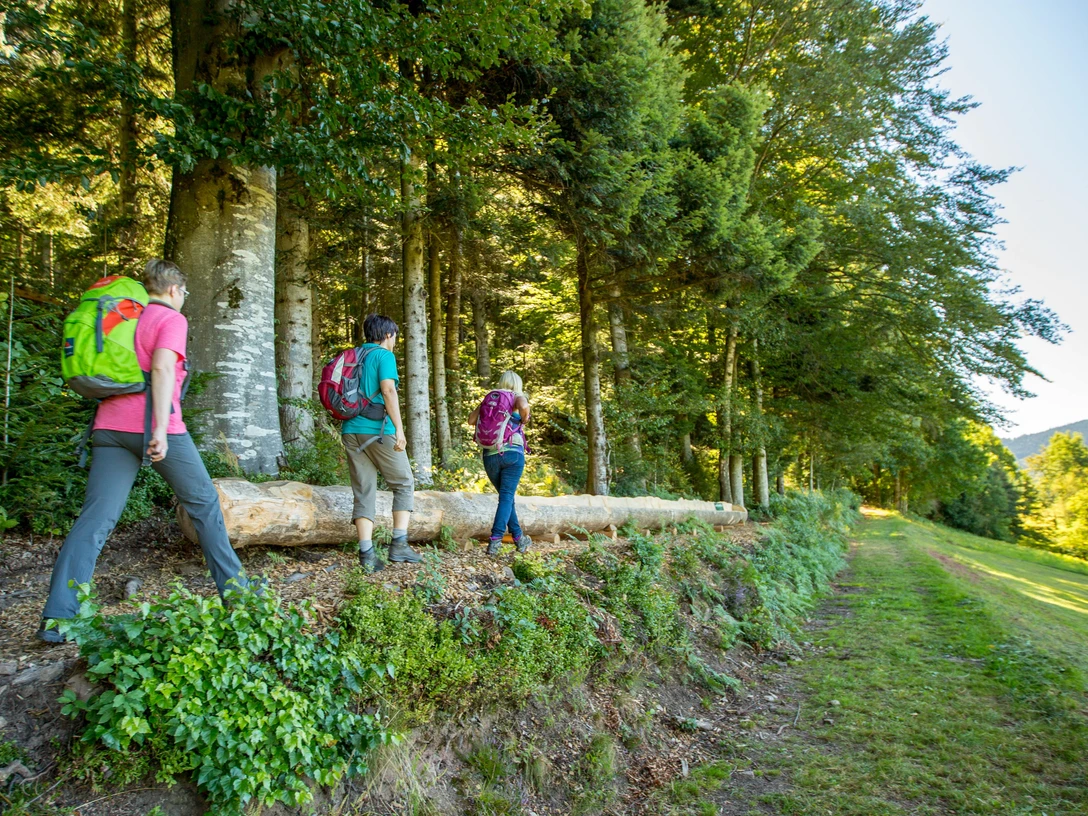ein-einladendes-plaetzchen...viel-platz-zum-genuss-der-schoenen-aussicht-