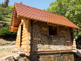 41688251_2212344259024329_302879057899421696_o