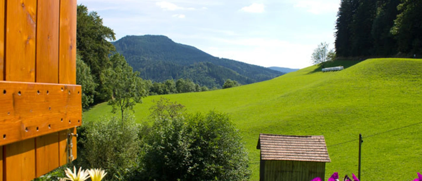 das-naturfenster-am-wiesensteig