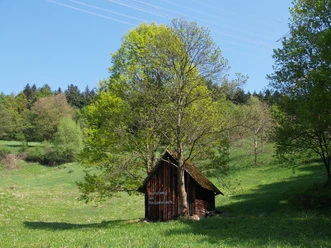 Gernsbach_Kunstweg_am_Reichenbach_Heuhüttental_1