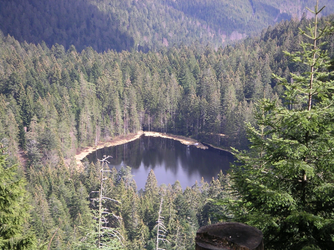 Schurmsee nah Querformat