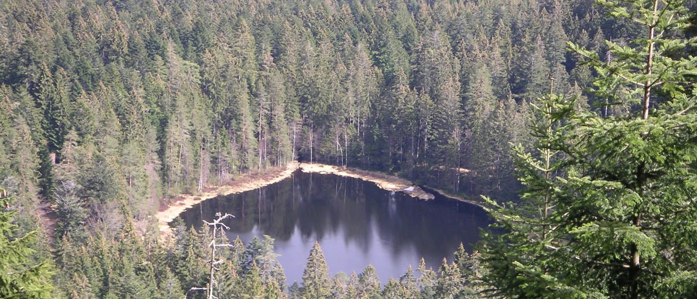 Schurmsee nah Querformat