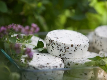 BAIE_Schatz_Käse_Klein