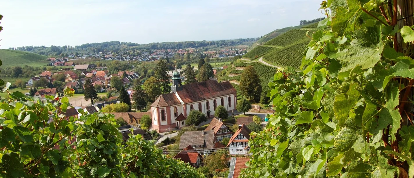 St. Heinrich außen mit Weinbergen