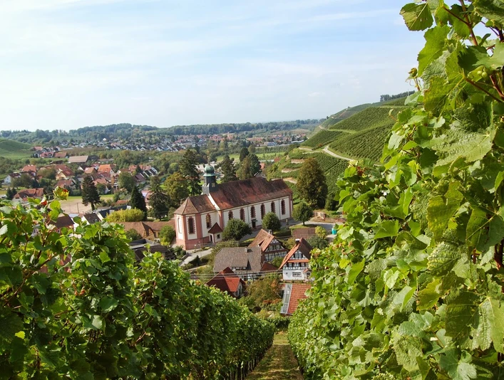 St. Heinrich außen mit Weinbergen