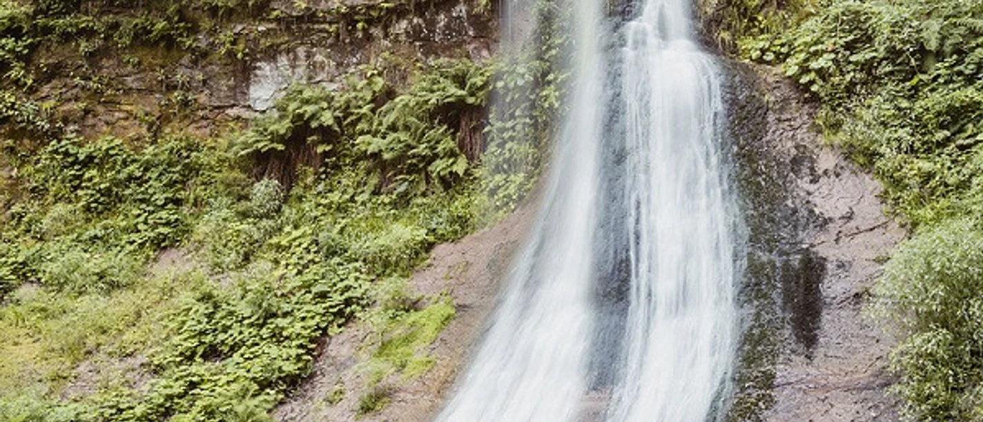 BT_2018_Sankenbach_007