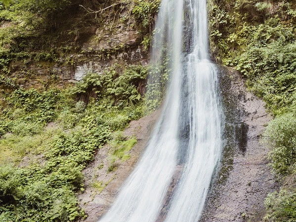 BT_2018_Sankenbach_007