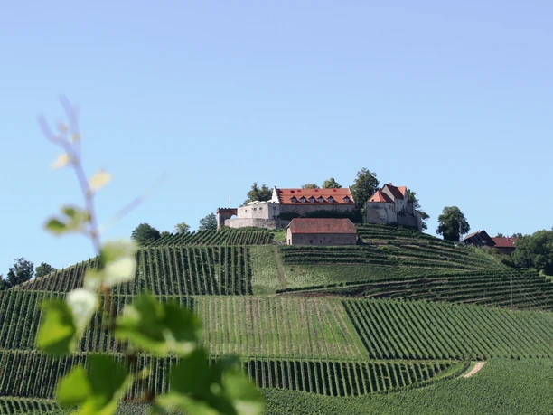 Durbacher Schlossberg