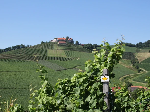 Durbacher Schlossberg 1