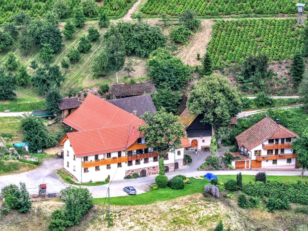 Luftbild Hölzleberg bearbeitet