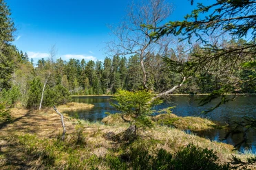 Herrenwieser See_Joachim Gerstner_M