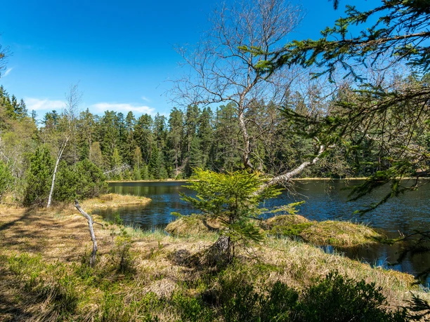 Herrenwieser See_Joachim Gerstner_M