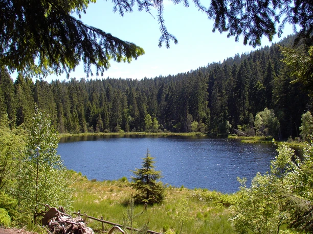 Herrenwieser See bei Forbach im Murgtal