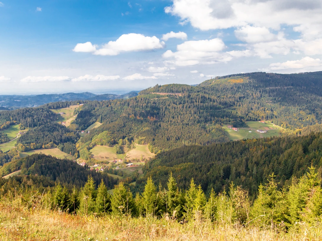 Blick vom Bauernkopf in das Tal
