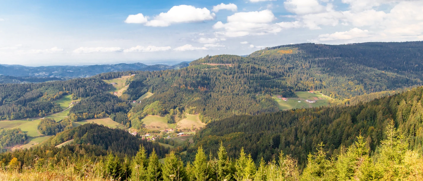 Blick vom Bauernkopf in das Tal