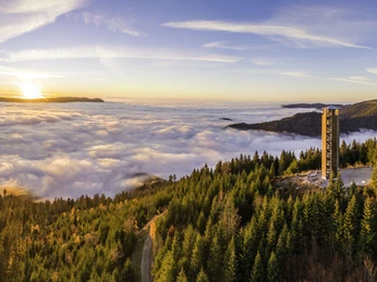Hubert Grimmig_Buchkopfturm_Nebel_gekauft_klein