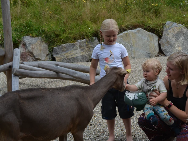 Begegnungsgehege Mensch und Tier