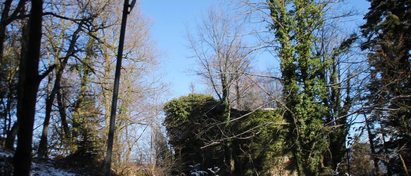 IMG_9278 Ruine verkleinert