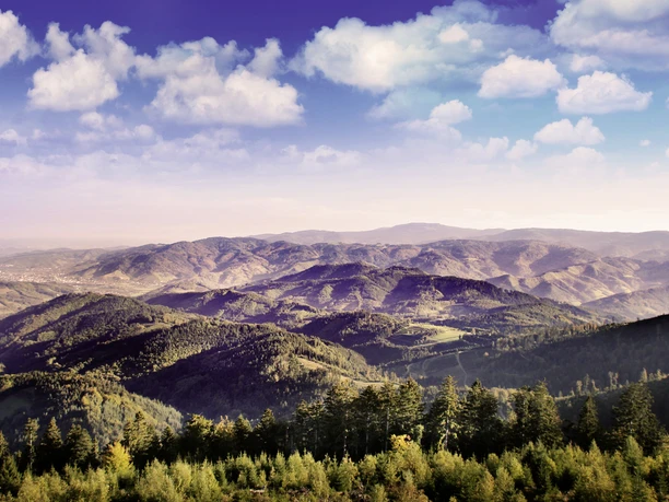 Moosturm_Panorama_Quelle Renchtal Tourismus GmbH