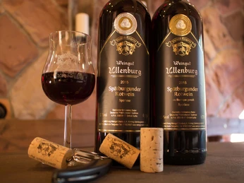 Wein im Weingut Ullenburg