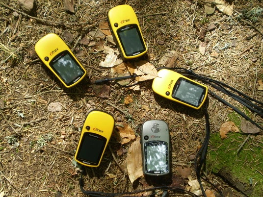 GPS Waldboden_© Schwarzwald-Guide Margot Laufer