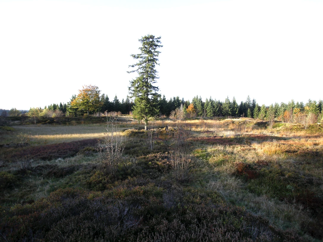 Röschenschanze klein