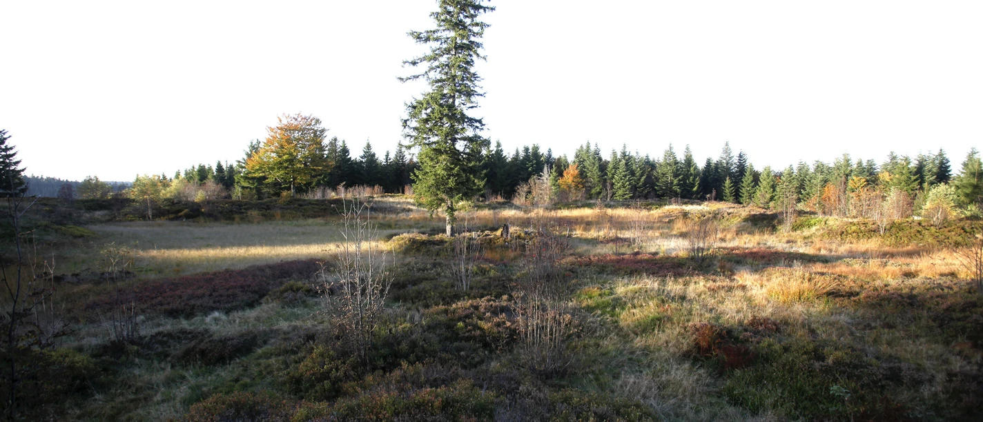 Röschenschanze klein