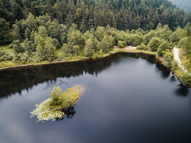 BT_2018_Drohne_Sankenbachsee_006