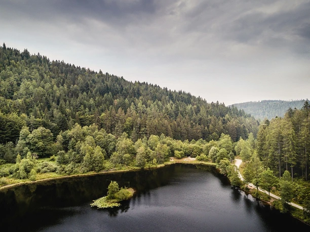 BT_2018_Drohne_Sankenbachsee_008