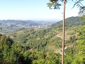 DSC01239_verkleinert