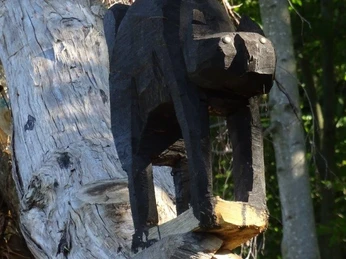 DSC01244_verkleinert