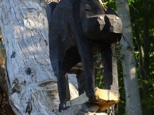 DSC01244_verkleinert