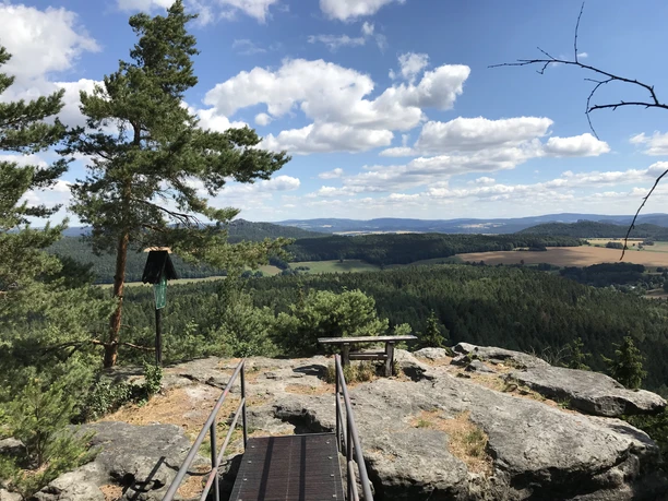 Aussicht von einem Felsen über eine bewaldete Landschaft mit blauem Himmel und weißen Wolken; im Vordergrund ein Geländer und eine Bank.