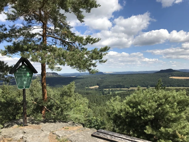 View from the signal stone Viewpoint with green sign and bench, surrounded by pine trees, with a view of a wide, wooded landscape under a blue sky with clouds.