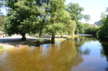 Gernsbach Murginsel