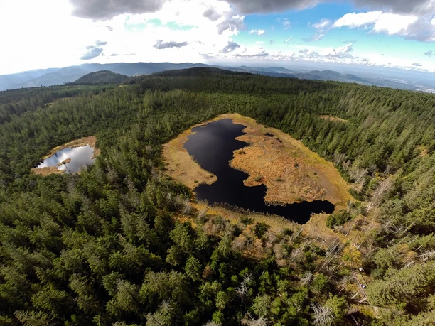 Hornsee und Hohlohsee Kaltenbronn Fotograf Joachim Gerstner