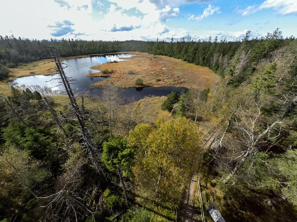 Kaltenbronn Wildsee_Joachim Gerstner