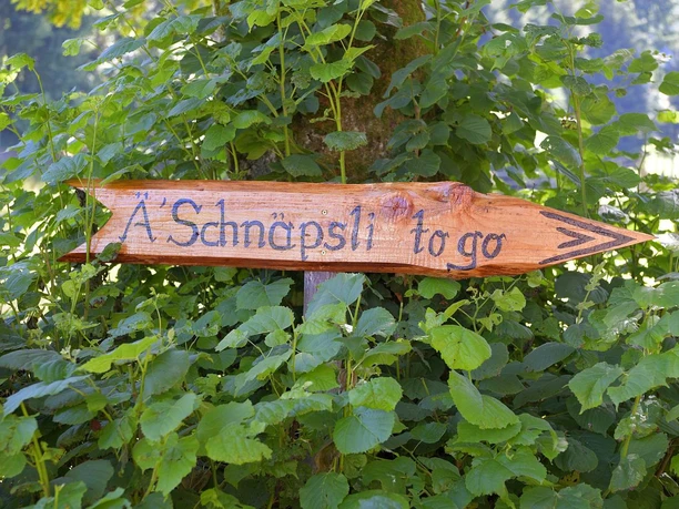 sesterhof2