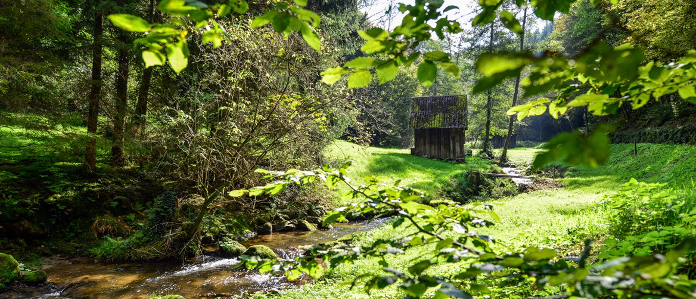Heuhütte im Reichenbachtal im Murgtal_Gerstner
