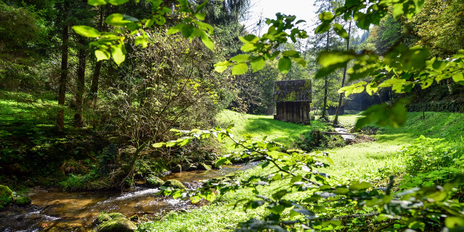Heuhütte im Reichenbachtal im Murgtal_Gerstner