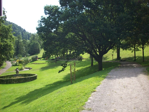 bild-3663469