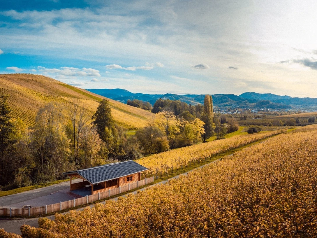 Winzerhütte