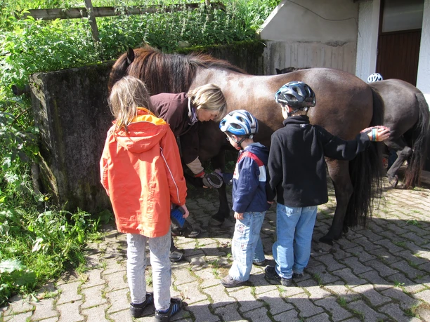 Ferienprogamm auf dem Landeckhof
