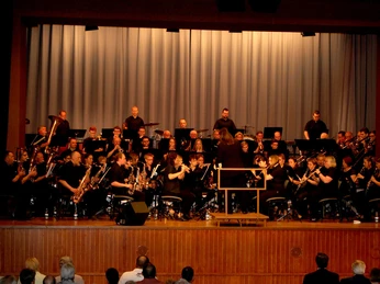 Musikverein Orgelfels Reichental e.V. Gruppenbild