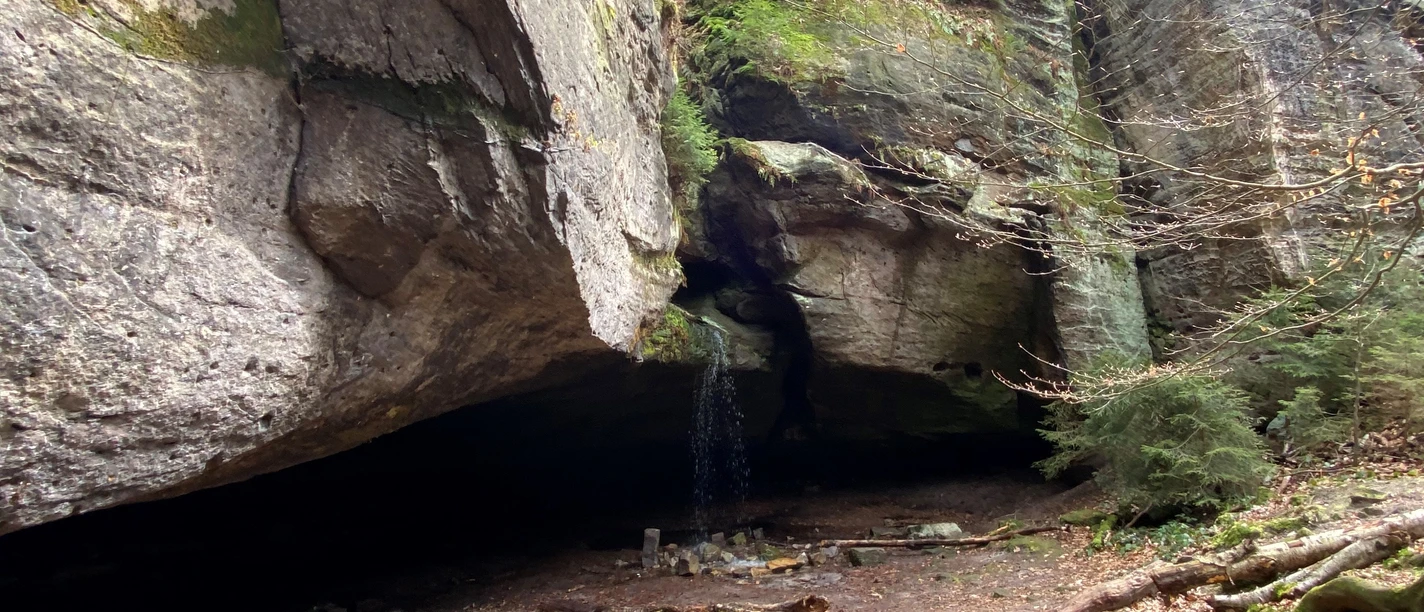Hohnstein Cave of Thieves Rock formation with a small waterfall, surrounded by trees and moss, on a forest floor covered with foliage.