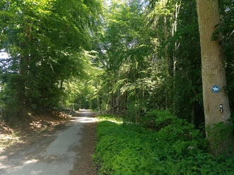 Hansaweg Etappe 1