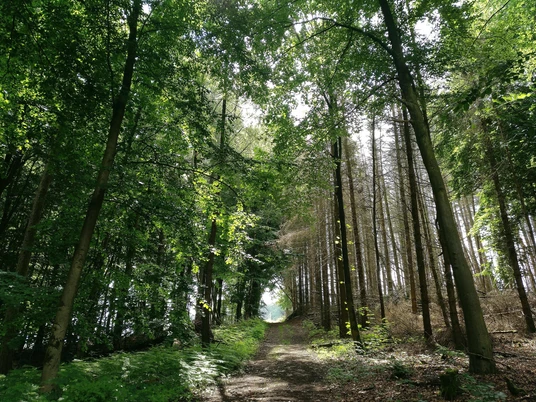 Wandern am Hansaweg Bad Salzuflen nach Herford