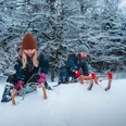 Schlittenfahren am Rodelhand Obertal Buhlbach